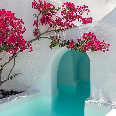 Chelidonia Luxury