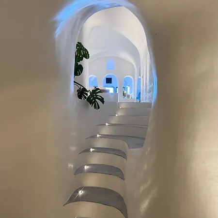 彻利多尼亚奢华套房酒店 酒店 4*