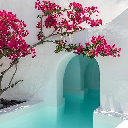 Chelidonia Luxury