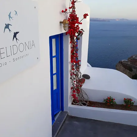 호텔 Chelidonia Luxury