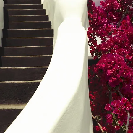 Chelidonia Luxury 호텔 4*