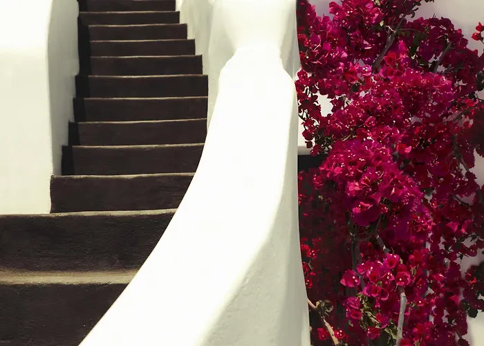 Chelidonia Luxury Hotel 4*